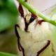 Illustration for article titled 153 Photos of Teeny Tiny Things